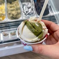 Yogurt, Pistacchio e Ribes at Gelateria Malu in Jesolo