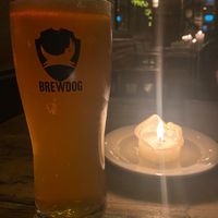 Punk IPA at Zinco Lounge in Swansea