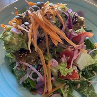   at Organico in Stockholm