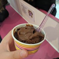 Vegan chocolate sorbet at Willy Wallers Ice Cream Factory in St Ives