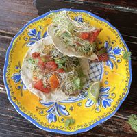 Vegemite tacos (vegan style)  at Gina's Cafe in St Michaels