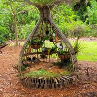 New addition in the Captiva terrace. Orchid Sanctuary.  Rescuing orchids! at Pirate Palms Plant-Centered Retreats in Naples