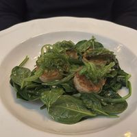 Scallops  at Delice & Sarrasin in New York City