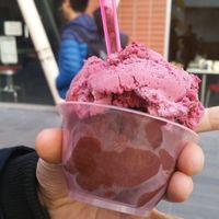 Vegan dark chocolate and raspberry gelati at Gelateria on the Docks in Docklands