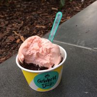 Blood orange and dark chocolate  at Gelateria on the Docks in Docklands