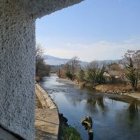  at Plant by Kat's Kitchen in Keswick