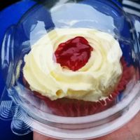 Cupcake at Veggie Supreme in Wolverhampton