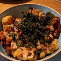  at The Allotment in Manchester