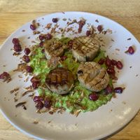   at The Allotment in Manchester