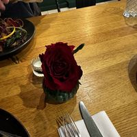 Beautiful   at The Allotment in Manchester