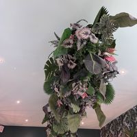 In the allotment   at The Allotment in Manchester