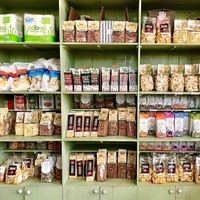 Pasta at Greenheart Organic Farms in Dubai