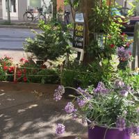 A lovely garden  at ATAYA in Berlin