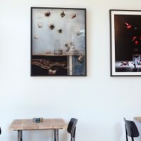 YogaFest Cafe Art at Cafe Sage in Amsterdam