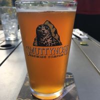 Vegan beer at Hayseed in Hampton