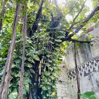 Outside area  at Sirena Morena in Cancun