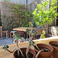 Outdoor seating at Small Axe Kitchen in Brunswick