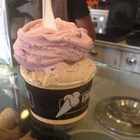 edoardo, cup with 3 flavours at Edoardo - Piazza del Duomo in Florence