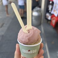 red wine sorbet + salted pistachio  at Edoardo - Piazza del Duomo in Florence
