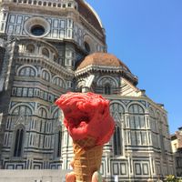 Raspberry sorbet in vegan cone at Edoardo - Piazza del Duomo in Florence