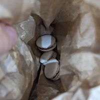  at Cloud Cakes - Mandar in Paris