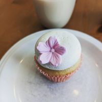 Cherry Blossom Cupcake at Out of the Bubble Bakery in Springfield