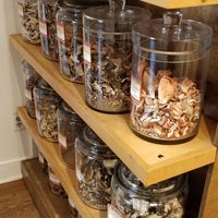  at Mycoboutique in Montreal