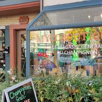  at Mycoboutique in Montreal