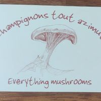  at Mycoboutique in Montreal