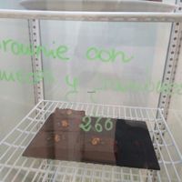 brownie at Sweet Paradise in Tenerife