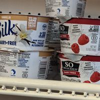 A couple of vegan yogurt choices at Book Trader Cafe in New Haven