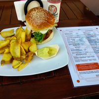 Vegan Burger and Chips at Der Vegetarische Metzger at Der Vegetarische Metzger in Berlin