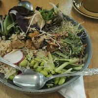 Poke bowl with tofu at Mama-P in Charlestown