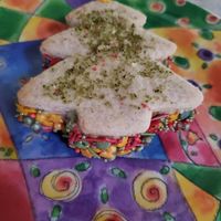 Christmas Double Decker Sugar Cookie with cinnamon gelato in between at Conscious Creamery in Sacramento