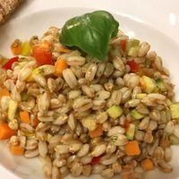 Tasty Spelt Salad at Cantine Bernardini in Lucca