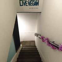   at Tofunia in Taipei