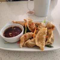 Gyoza at Loving Hut in Garden Grove