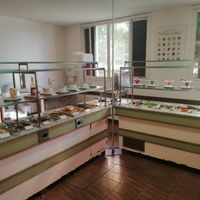Buffet at Bardana Equilibrio Natural in Rio De Janeiro