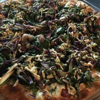 cheeseless pizza with vegan Daiya cheese and drizzled with pesto #superyum!!! at Gourmet Pizza Company in Tampa