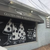 Gourmet Pizza Company at Gourmet Pizza Company in Tampa