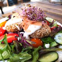 Falafels at RawAttitude in Malaga