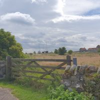 . at Pilgrims Coffee House in Lindisfarne
