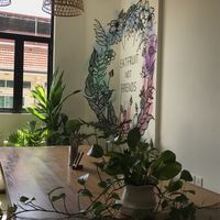 Vibe Café, Siem Reap at Vibe Cafe in Siem Reap