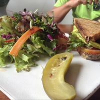 Live Sandwich!!! at Vibe Cafe in Siem Reap