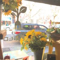A sunny view of market street from the window counter at Tossed on Market in Corning