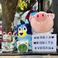 Sign #Veganuary at Maria Bonita Veganos - Food Cart in Mexico City