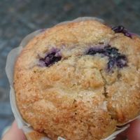 blueberry vegan muffin at Le Pain Quotidien - Simon Stevinplein in Bruges