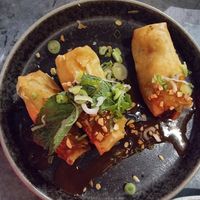 Spring rolls at Tampopo in West London