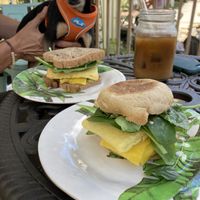 Breakfast sandwich. The one in the back is GF. The one in front is “gluten-licious” 😋  at Bunkhouse Coffee Bar in Jensen Beach