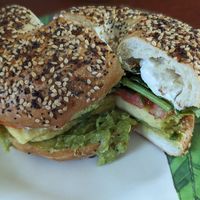 Bagel Sammi at Bunkhouse Coffee Bar in Jensen Beach